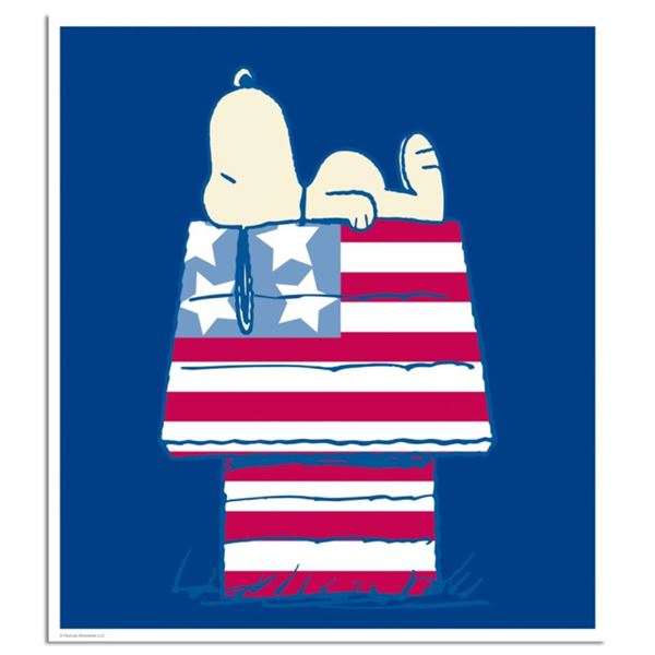 Stars and Stripes and Sleep by Peanuts,