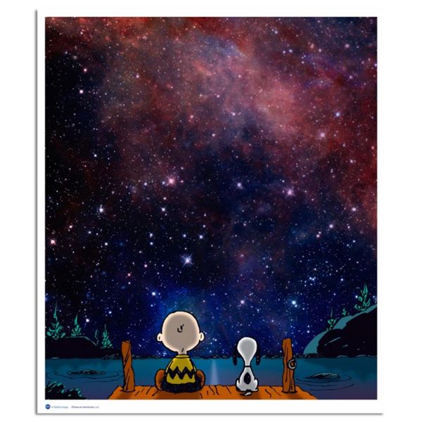 The Night's Sky by Peanuts,