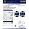 Image 4 : 2.60 ctw Blue Sapphire and 1.11 ctw Diamond Platinum Earrings