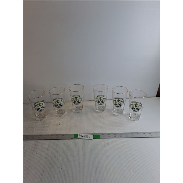(6) Saskatchewan Roughrider Glasses