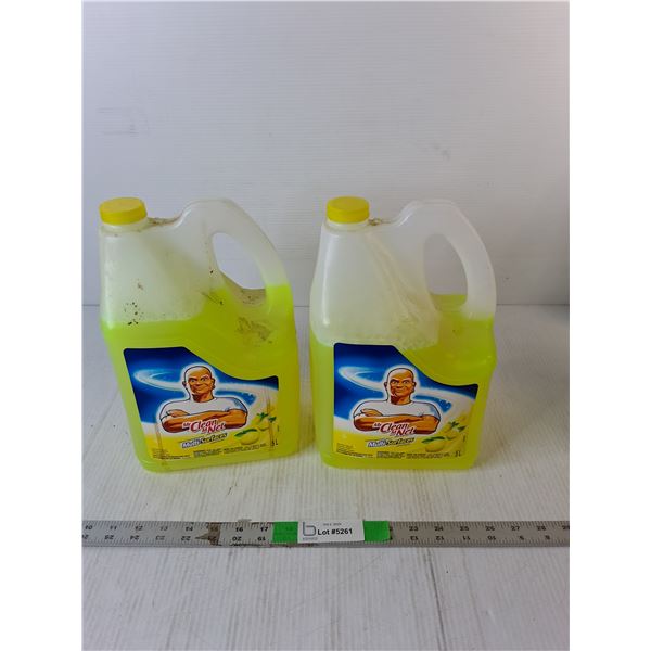 (2) Bottles of Mr. Clean Surface Cleaner, Cannot Ship