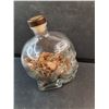 Image 3 : Skull Bottle with Pennies