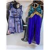 Image 1 : (2) Girls Dance Costumes: Size 14 & 12
