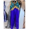 Image 4 : (2) Girls Dance Costumes: Size 14 & 12