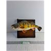 Image 1 : Mounted Perch 12"
