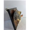 Image 2 : Mounted Perch 12"
