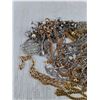 Image 2 : Various Necklaces - Authenticity Not Guaranteed