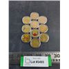 Image 1 : (10) Collectable Canadian $1 Coins
