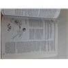 Image 3 : Soft Cover Book - The Games Treasury