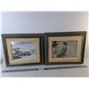 Image 1 : Framed Polar Bear Prints
