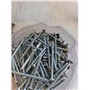 Image 4 : Safety Goggles/ Neck Ties/ Screw Assortment/ Misc.