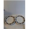 Image 2 : (6) Lg Plates 9 5/8" (4) Sm Plates 6 5/8" (1) Oval Serving Dish 11 3/4'