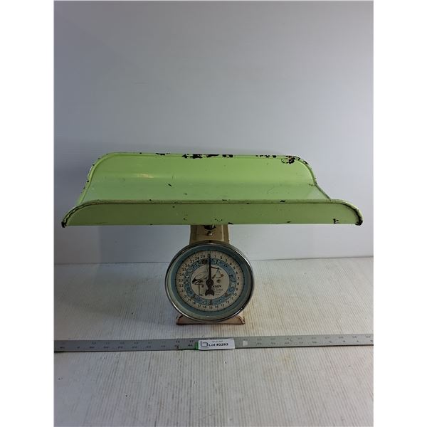 Vintage "Hanson" Nursery Scale