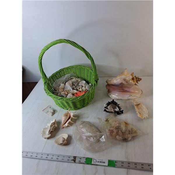 Woven Basket & Decorative Shells