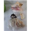 Image 2 : Woven Basket & Decorative Shells