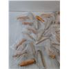 Image 3 : Hair Remover Tools - New