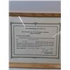 Image 2 : Framed The Commissioner for Oaths Act Appointment Certificate 13" x 10"