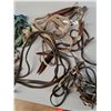 Image 2 : Horse Accessories- Bridles, Halters, Misc.