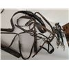 Image 2 : Horse Accessories-  Harnesses, Misc.