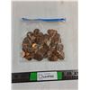 Image 1 : Bag Of Pennies