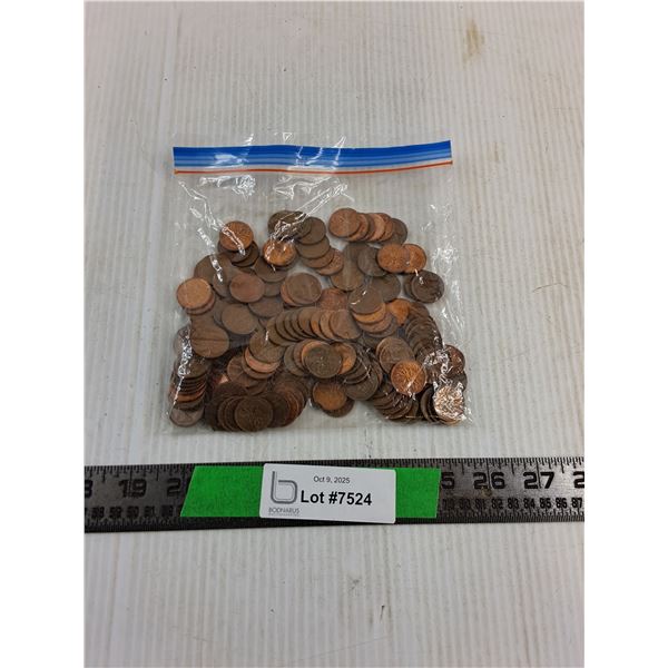 Bag Of Pennies