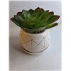 Image 2 : Potted Succulent (Artificial)/ Glass Basket With Easter Eggs