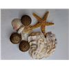 Image 2 : "Partylite" Candle Votives And Tea Lights/ Vase/ Sea Shells
