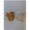 Image 2 : (2) Large Decorative Shells