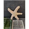Image 4 : Divided Glass Trays, Chalkware Star Fish Wall Decor