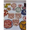 Image 3 : Collection of Patches of Seals and Achievements