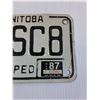 Image 3 : Manitoba Moped License Plate - 1988