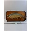 Image 1 : # Lake Trout Mount on Wood Plaque - 30" x 16"