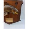 Image 2 : # Arctic Greyling Fish Mount on Wood Plaque - 16" x 18"