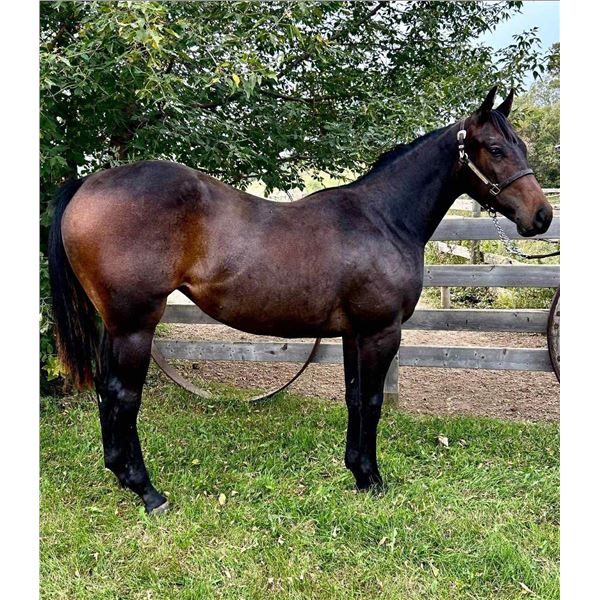 First Flash The Moon