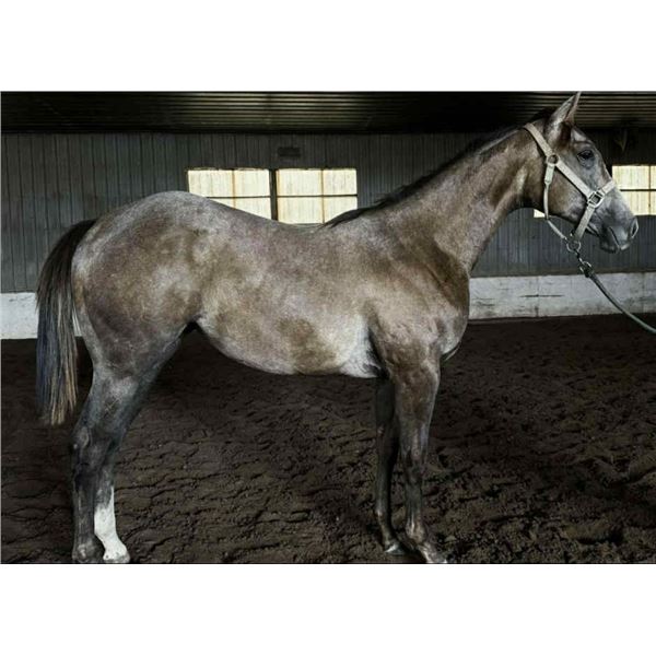 Pending (First Down Leaving x Ali Returns