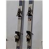 Image 3 : (2) Pairs of Salomon Downhill Skis-  66" & 76.5", Cannot Ship