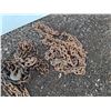 Image 4 : **(3) Chains - Approximately 30 ft Each, Plastic Bucket, Cannot Ship