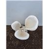 Image 2 : **Carved Wood Painted Tulip Outdoor Decor 28" x 13" x 13", Cannot Ship