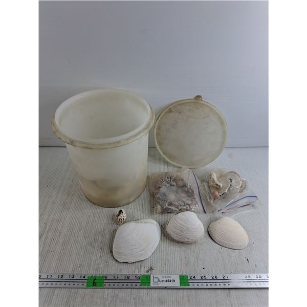 Tupperware Bucket with Lid 11" x 10", Various Sea Shells