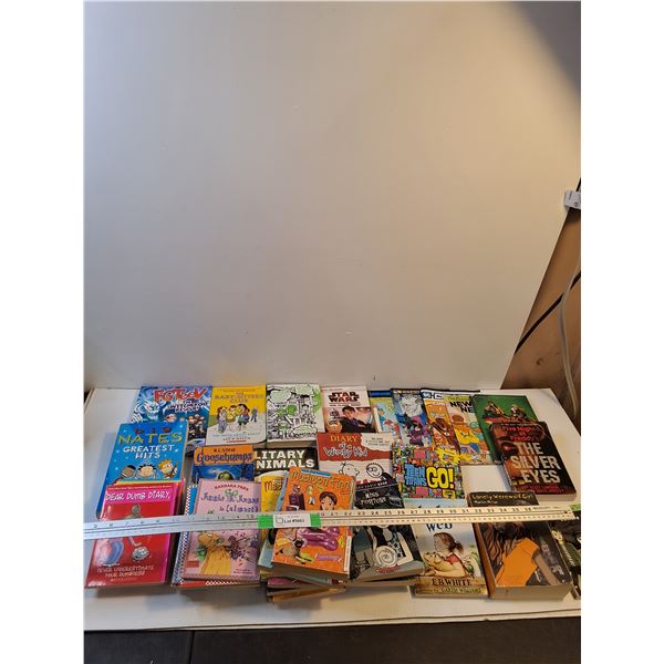 Kids  Books; Dear Dumb Diary, Junie B. Jones, Madison Finn, A Poison Apple, Misc