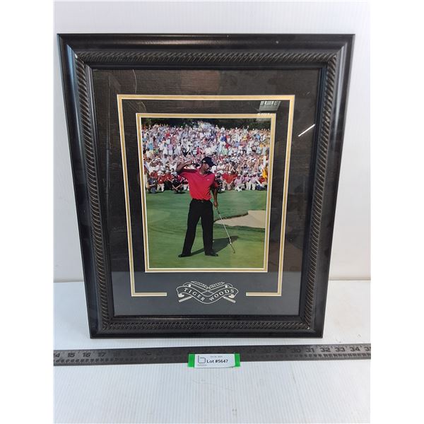 Wood-Framed "Tiger Woods" Wall Decor - 16x19.5"