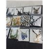 Image 3 : (15) New Costume Jewelry Necklaces