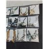 Image 3 : (15) New Costume Jewelry Necklaces