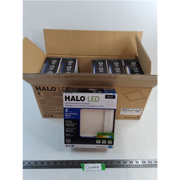 Carton of (6) New Halo LED Ceiling Mount Lights