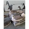 Image 5 : (approx 25) Vintage Canada Goose Decoys