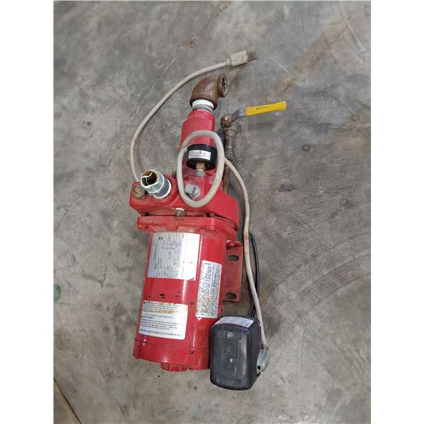Red Lion 1/3hp Convertible Pump-was used on Water Tank in lot 24