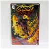 Image 1 : MARVEL GHOST RIDER METAL SIGN