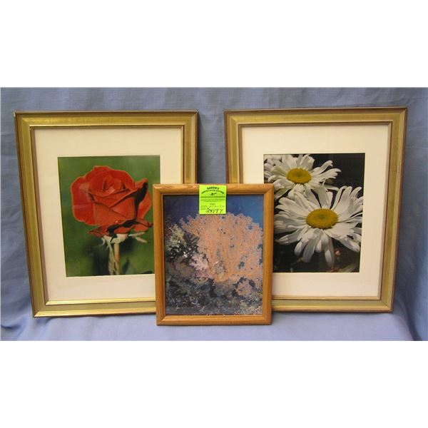 Group of three matted and framed prints