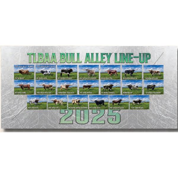 Bull Alley Banner
