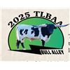 Image 1 : 2026 Bull Alley Logo